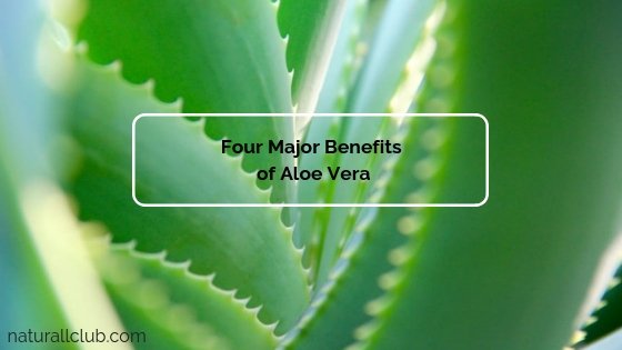 pure plus aloe vera Pure Aloe Vera Supplement Vitamin Shot Value Pack - 95% Aloe Vera main image 0