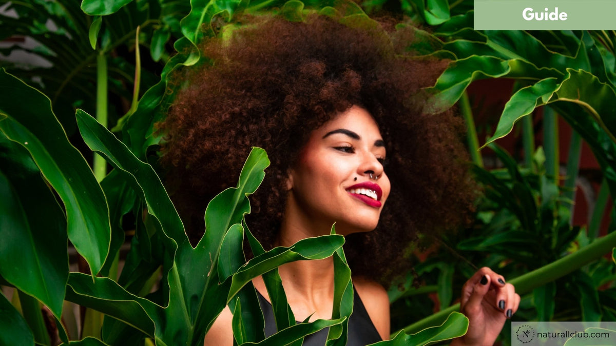 Can Sea Moss Help My Hair Grow? NaturAll