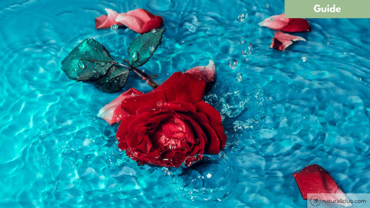 5 Ways to Rehydrate Naturally Dry Hair