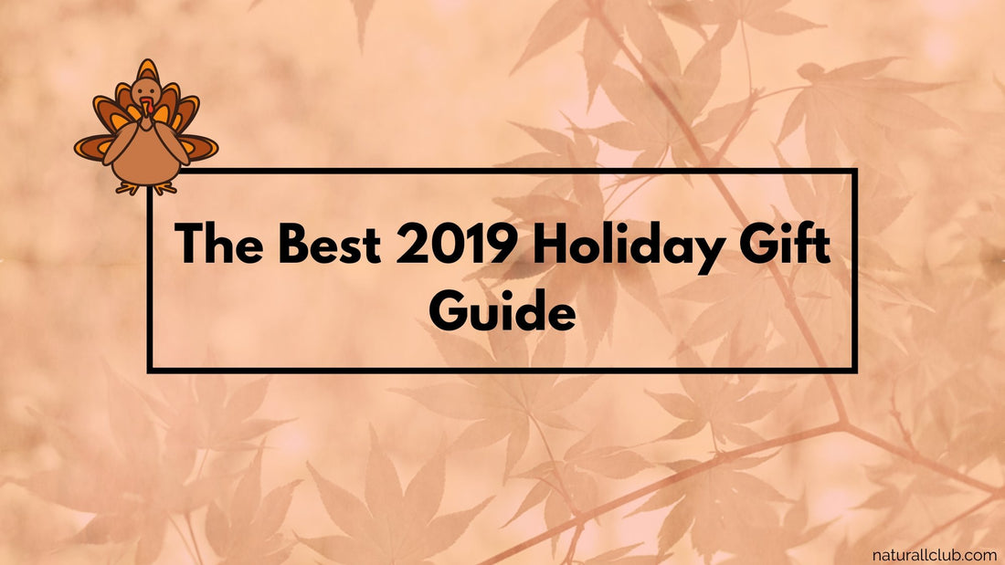 the best 2019 holiday gift guide